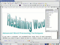 Screenshot of OpenOffice Writer 2.0 running on Mandrake Linux